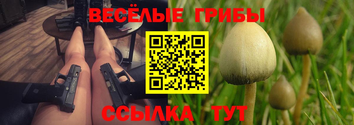 Псилоцибиновые грибы MAGIC MUSHROOMS  Вход с VPN  Галлюциногенные грибы GOLDEN TEACHER  Чернушка 